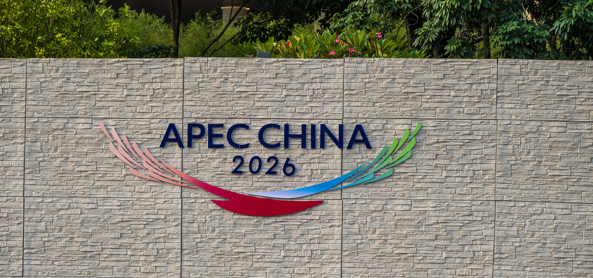 Xiplomacy: From promise to progress