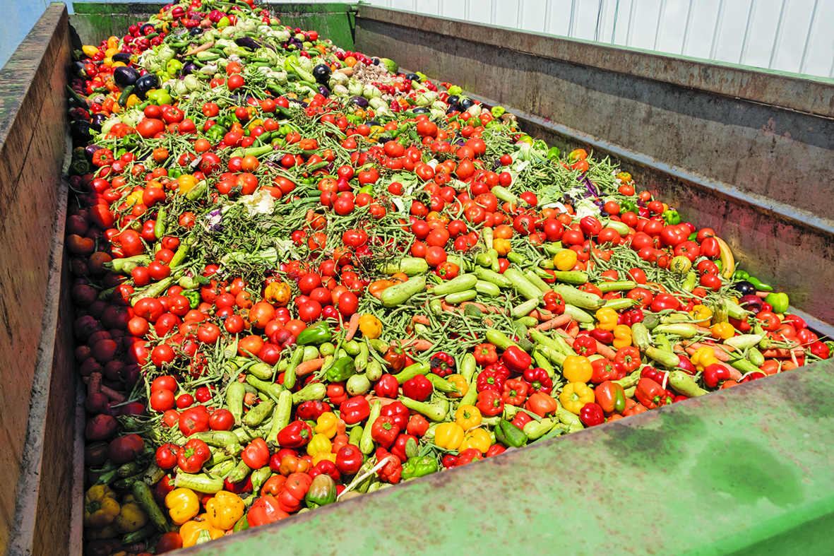 Cold storage key to cutting food waste