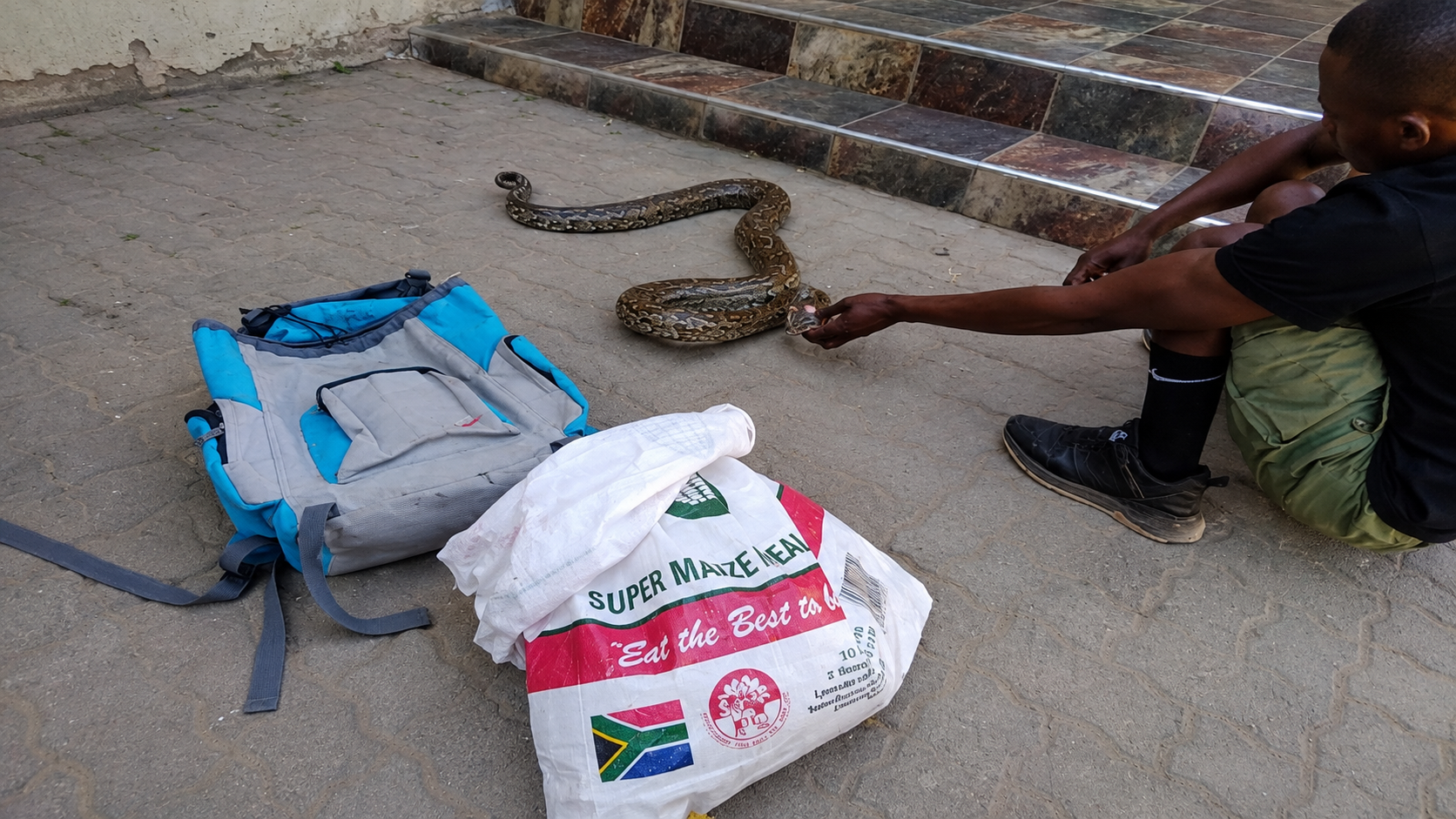 Python ‘thieves’ land in court over silly advert