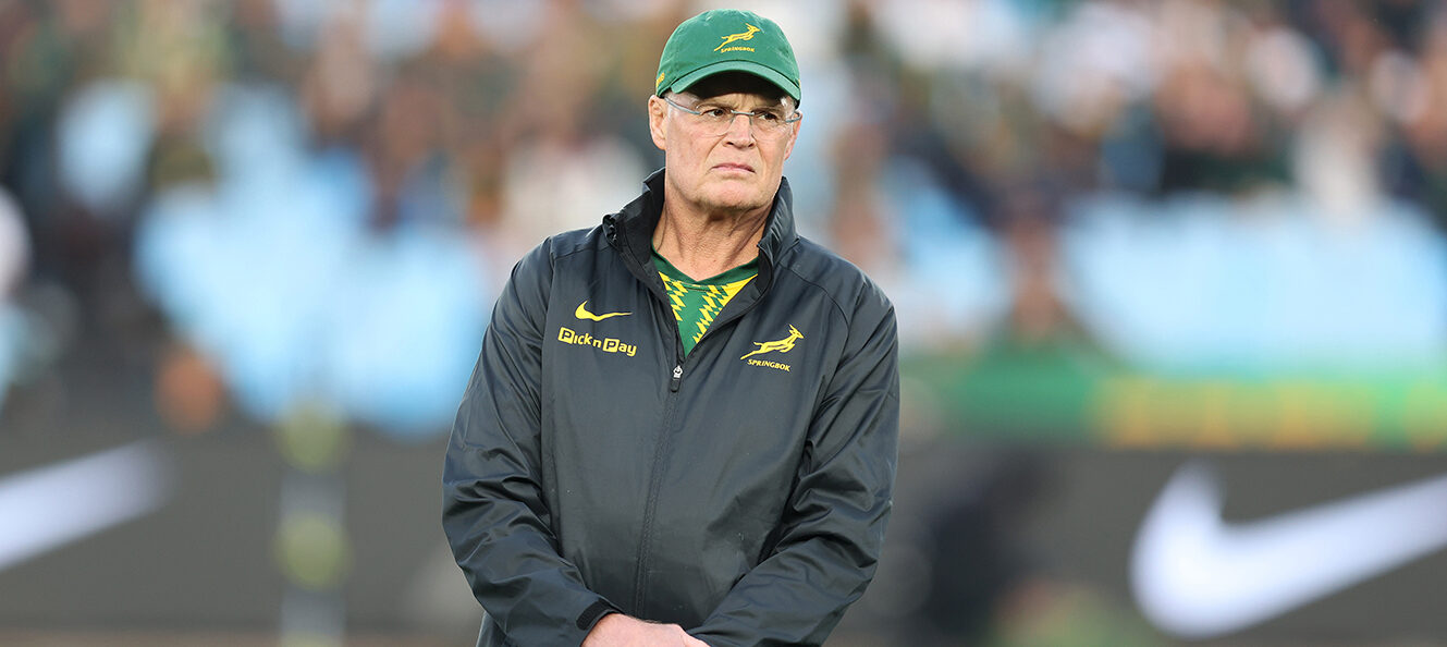 Springbok boss Rassie Erasmus picture