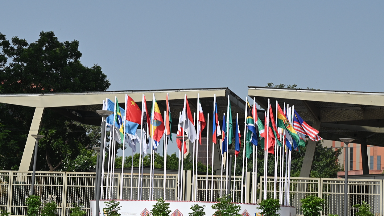 BRICS leaders adopt joint declaration at summit in New Delhi